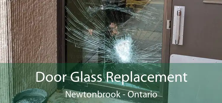Door Glass Replacement Newtonbrook - Ontario