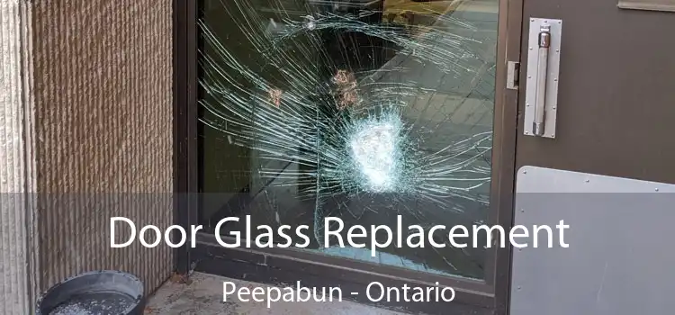 Door Glass Replacement Peepabun - Ontario
