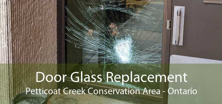 Door Glass Replacement Petticoat Creek Conservation Area - Ontario