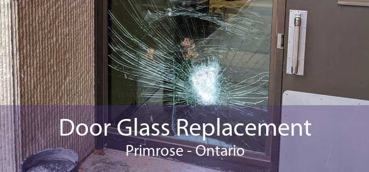Door Glass Replacement Primrose - Ontario
