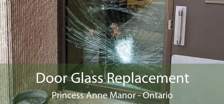 Door Glass Replacement Princess Anne Manor - Ontario