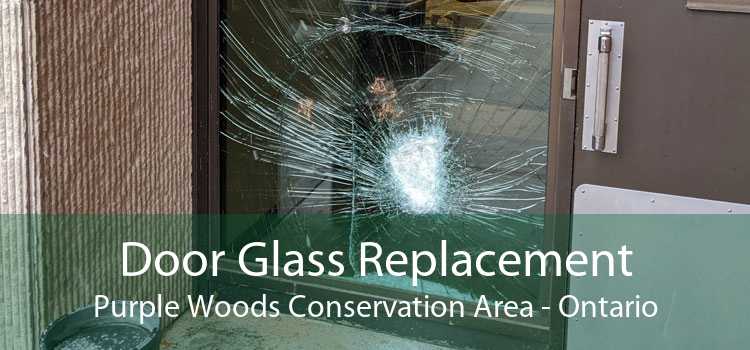 Door Glass Replacement Purple Woods Conservation Area - Ontario