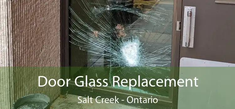 Door Glass Replacement Salt Creek - Ontario