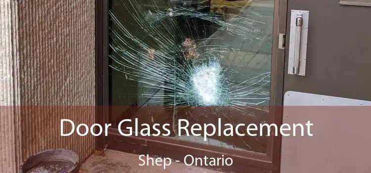 Door Glass Replacement Shep - Ontario