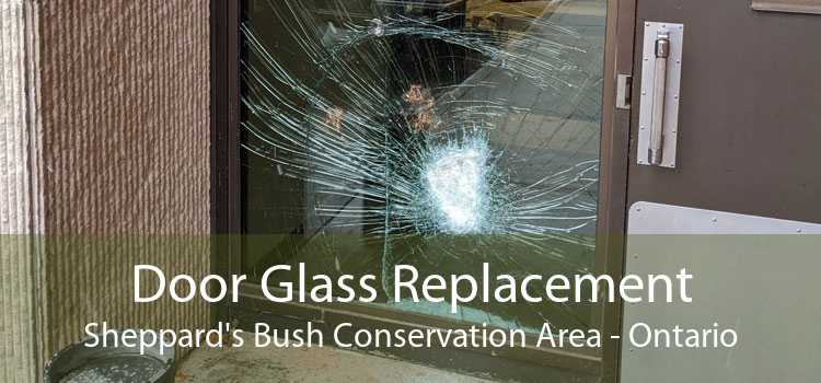 Door Glass Replacement Sheppard's Bush Conservation Area - Ontario
