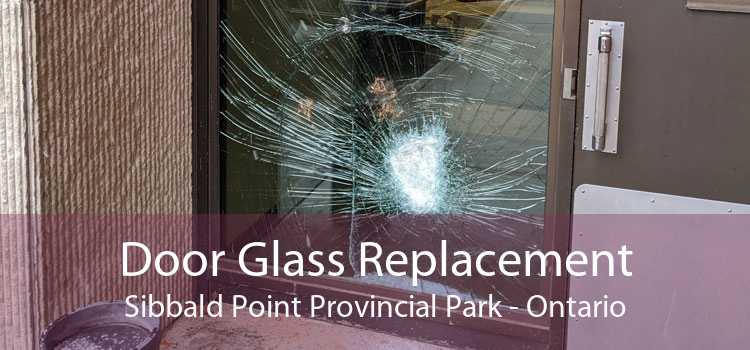 Door Glass Replacement Sibbald Point Provincial Park - Ontario