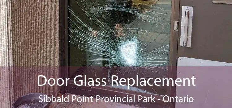 Door Glass Replacement Sibbald Point Provincial Park - Ontario
