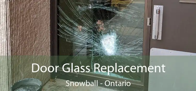 Door Glass Replacement Snowball - Ontario