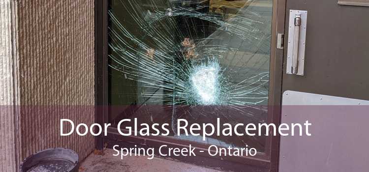 Door Glass Replacement Spring Creek - Ontario