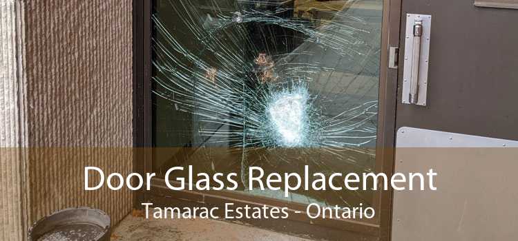 Door Glass Replacement Tamarac Estates - Ontario