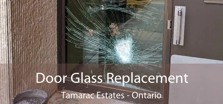 Door Glass Replacement Tamarac Estates - Ontario
