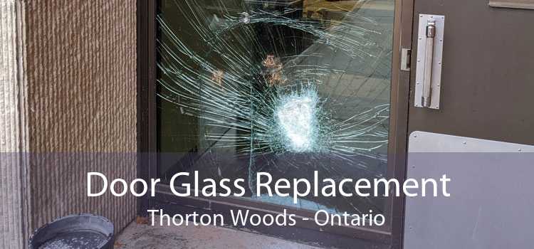 Door Glass Replacement Thorton Woods - Ontario