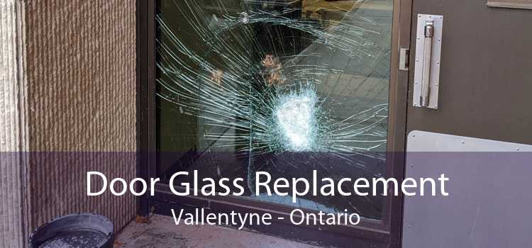 Door Glass Replacement Vallentyne - Ontario