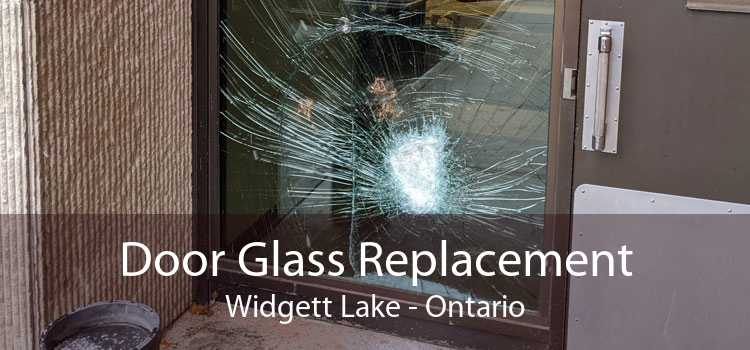 Door Glass Replacement Widgett Lake - Ontario