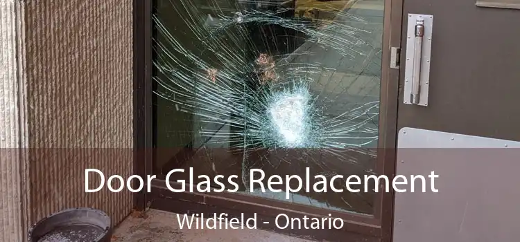 Door Glass Replacement Wildfield - Ontario