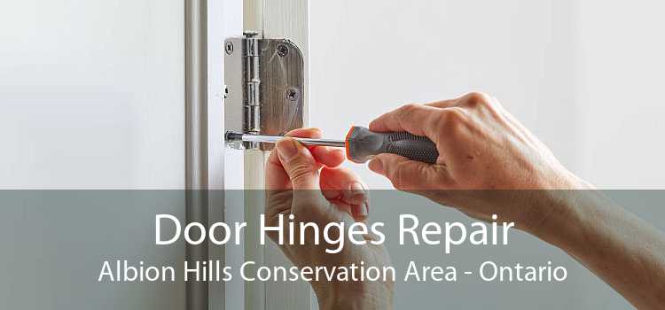 Door Hinges Repair Albion Hills Conservation Area - Ontario