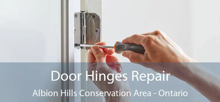 Door Hinges Repair Albion Hills Conservation Area - Ontario