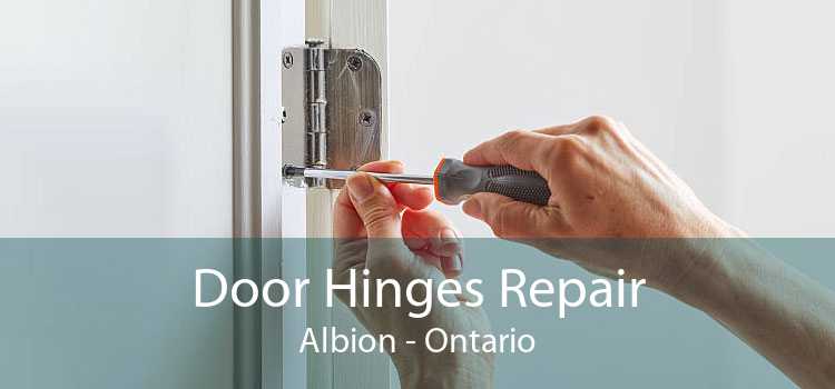 Door Hinges Repair Albion - Ontario