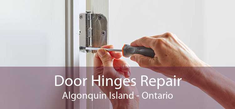Door Hinges Repair Algonquin Island - Ontario