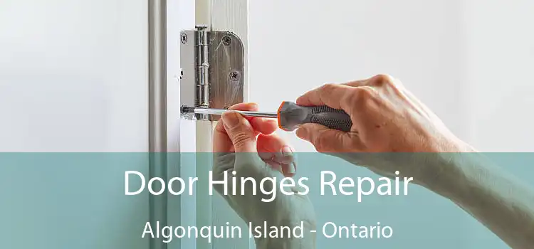 Door Hinges Repair Algonquin Island - Ontario