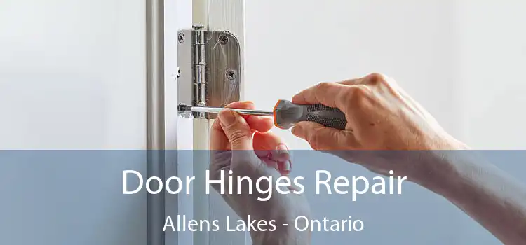 Door Hinges Repair Allens Lakes - Ontario