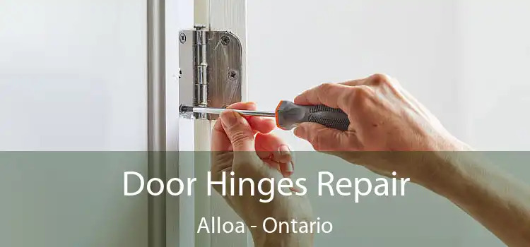 Door Hinges Repair Alloa - Ontario