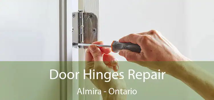 Door Hinges Repair Almira - Ontario