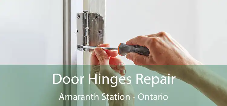 Door Hinges Repair Amaranth Station - Ontario