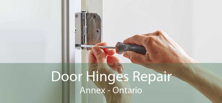 Door Hinges Repair Annex - Ontario