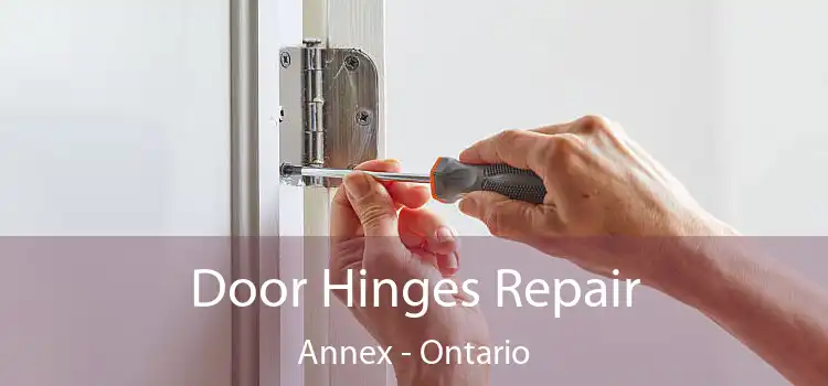 Door Hinges Repair Annex - Ontario