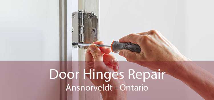 Door Hinges Repair Ansnorveldt - Ontario