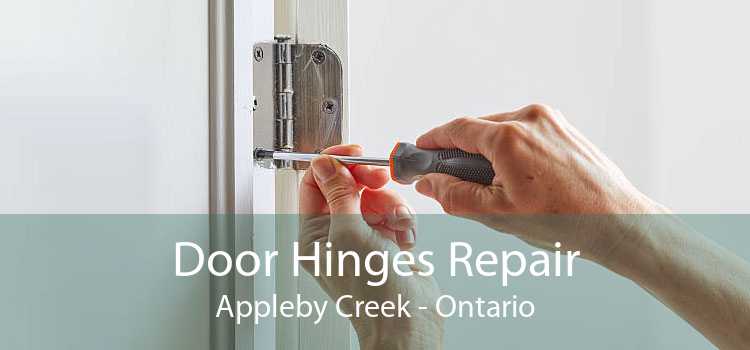 Door Hinges Repair Appleby Creek - Ontario