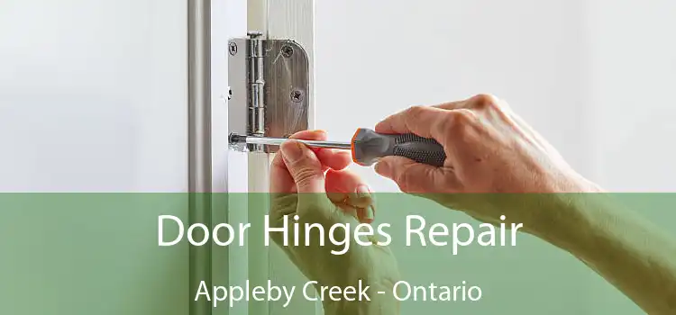 Door Hinges Repair Appleby Creek - Ontario