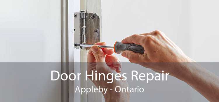 Door Hinges Repair Appleby - Ontario