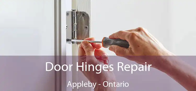 Door Hinges Repair Appleby - Ontario