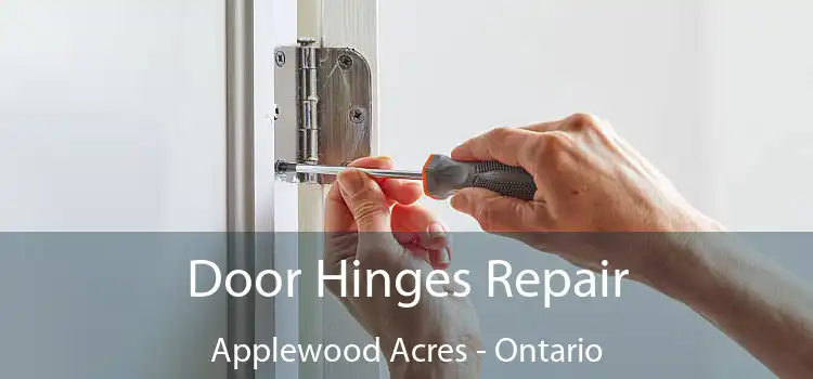 Door Hinges Repair Applewood Acres - Ontario
