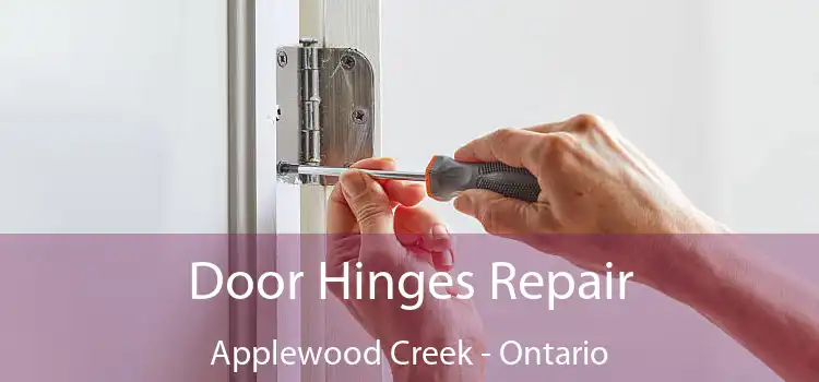 Door Hinges Repair Applewood Creek - Ontario