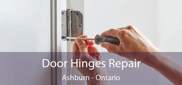 Door Hinges Repair Ashburn - Ontario