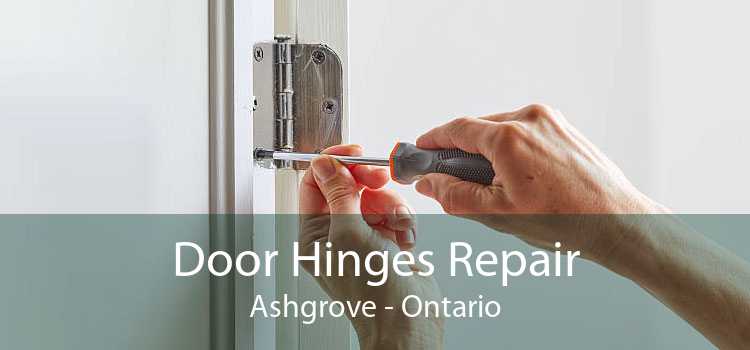 Door Hinges Repair Ashgrove - Ontario