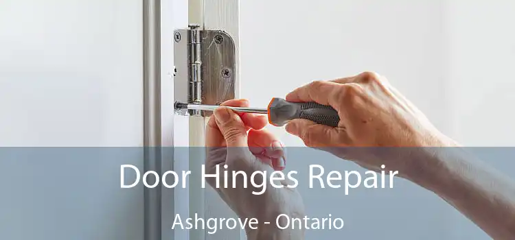 Door Hinges Repair Ashgrove - Ontario