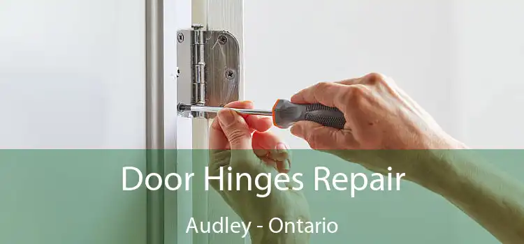 Door Hinges Repair Audley - Ontario
