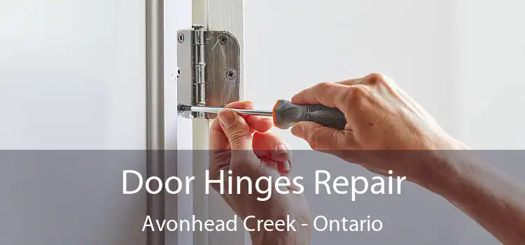 Door Hinges Repair Avonhead Creek - Ontario