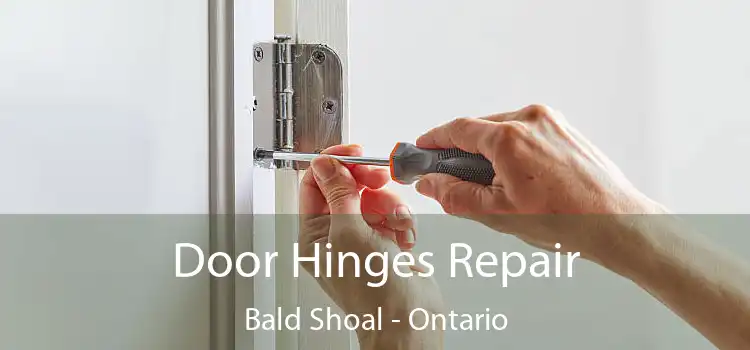 Door Hinges Repair Bald Shoal - Ontario
