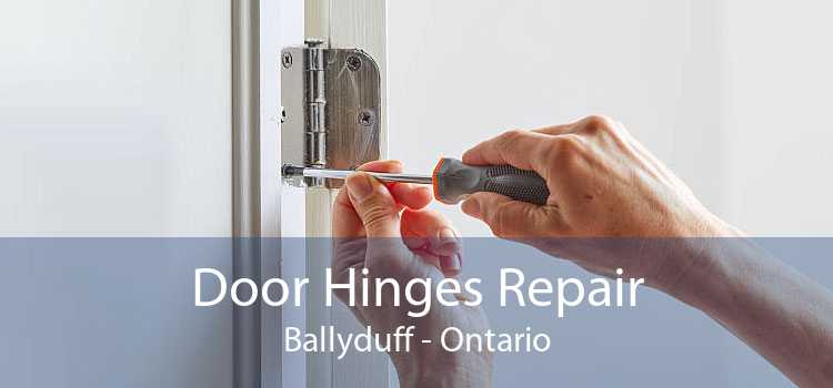 Door Hinges Repair Ballyduff - Ontario