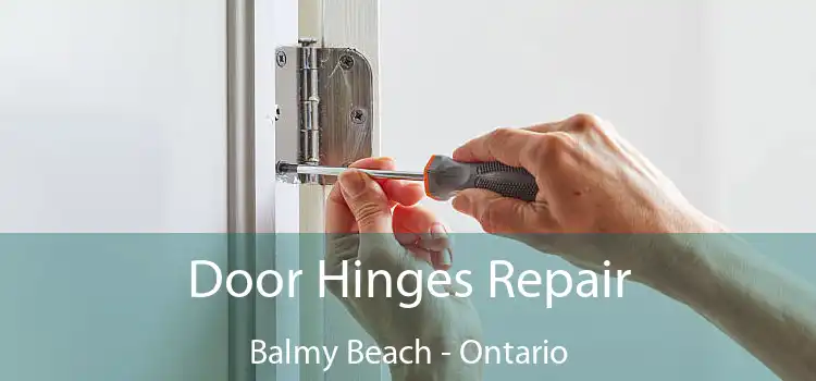 Door Hinges Repair Balmy Beach - Ontario