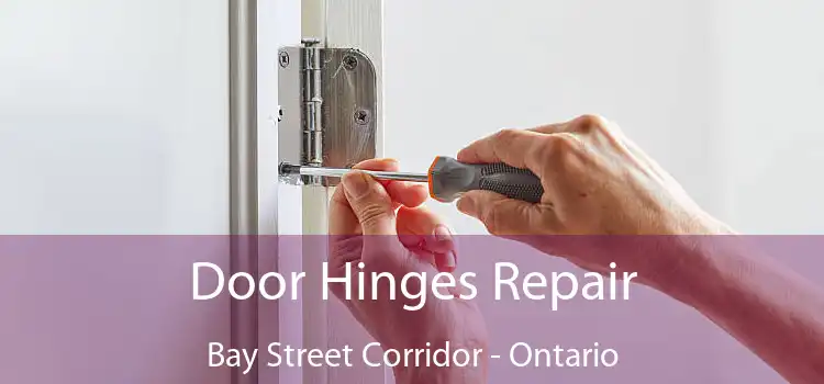 Door Hinges Repair Bay Street Corridor - Ontario