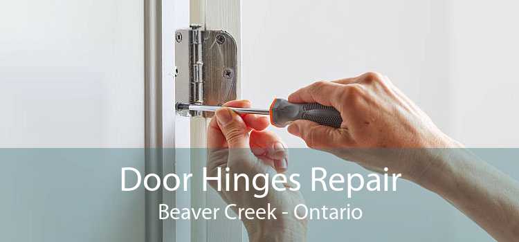 Door Hinges Repair Beaver Creek - Ontario