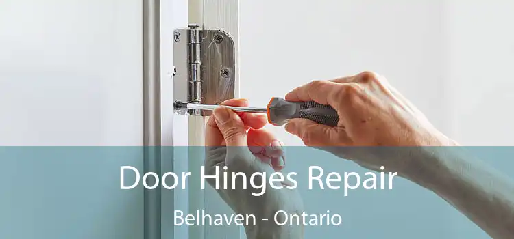 Door Hinges Repair Belhaven - Ontario