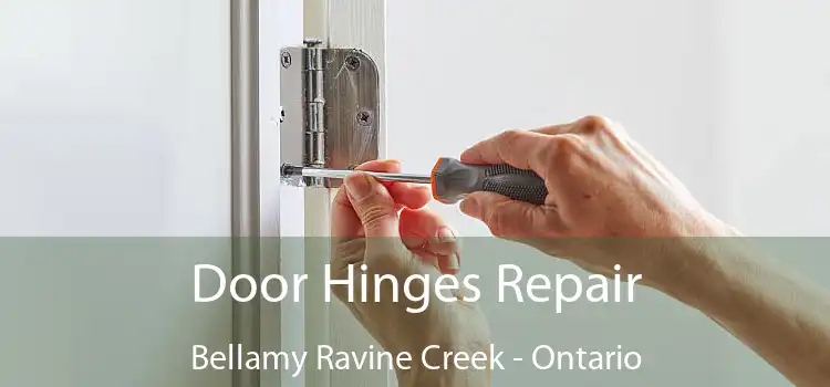 Door Hinges Repair Bellamy Ravine Creek - Ontario