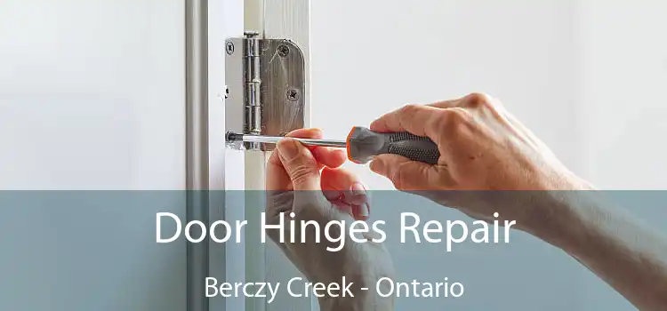 Door Hinges Repair Berczy Creek - Ontario
